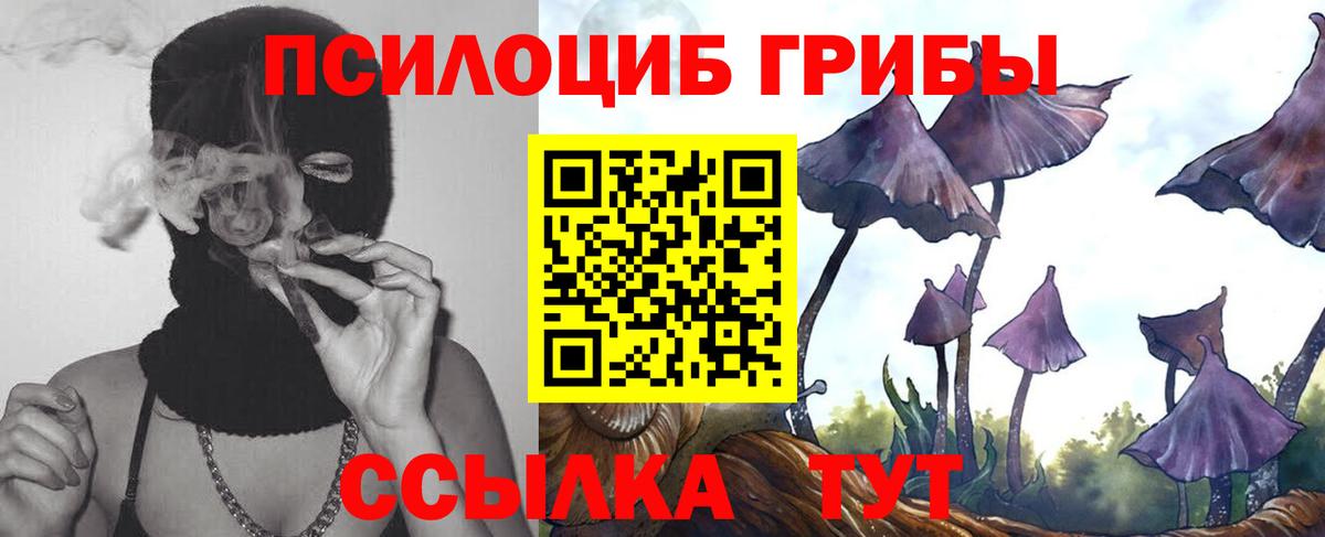 Псилоцибиновые грибы прущие грибы Удомля
